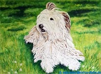 Dog Portrait Painting Modern Painting. Oil paint on canvas based on a photo template.