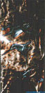 Steel image Colibri flame painting. 1991.