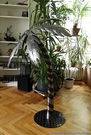 decoration-palm-tree-steel-sheet-metal-annealing-colour-120cm.