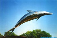 Swinging sculpture dolphin.