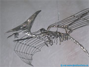 (Pal, Zoo) Pterosauria (Ordnung der Archosauria) mobiles.