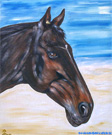 Modern style painting horse portrait. Leandras.