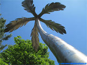 Metal palm tree decoration.