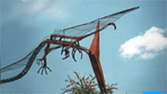 Pteranodon Pterosauria.