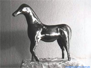 This horse shape conduced in the change process as the basis for racehorse on skids.