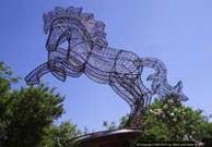 Wire horse garden Sculpture with peat and grass seed filled.
