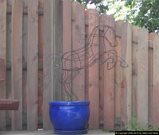 Wire horse garden Sculpture trellis.