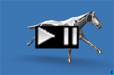3D CAD Race Horse 2012x3