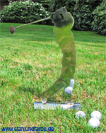 Polierter Edelstahlblech Golfspieler mit gewölbter Grundplatte  Höhe 30cm..