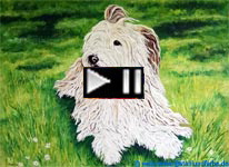 Hundeporträt Gemälde Moderne Malerei. Nach Fotovorlage Ölmalfarbe auf Leinwand.