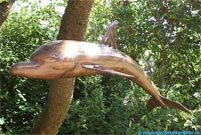 Delfin Kupfer